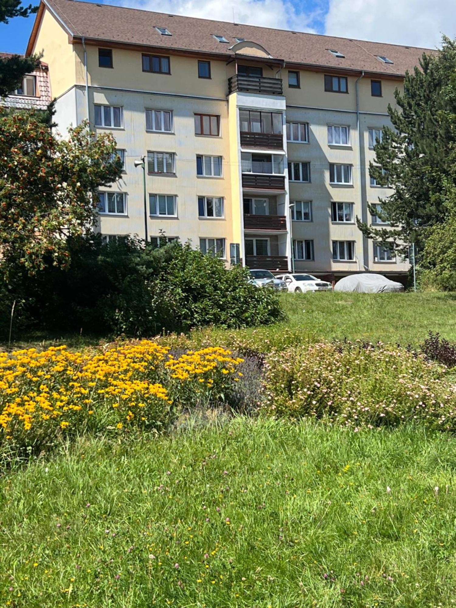 Apartment Tatranska Strba Exteriör bild